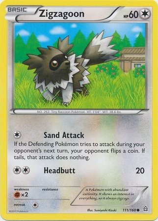 Zigzagoon (Pokemon XY Primal Clash Singles)